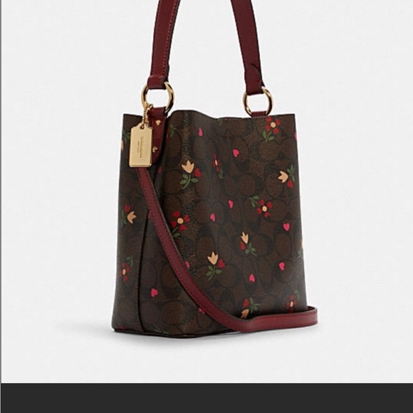 New Coach small town bucket bag in signature canvas with heart petal print - Picture 2 of 6